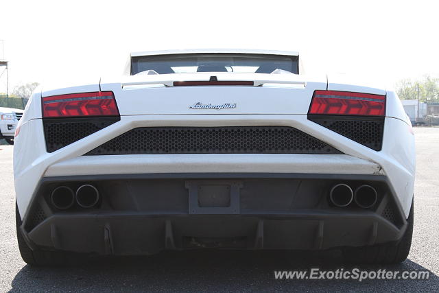 Lamborghini Gallardo spotted in Rockville, Maryland