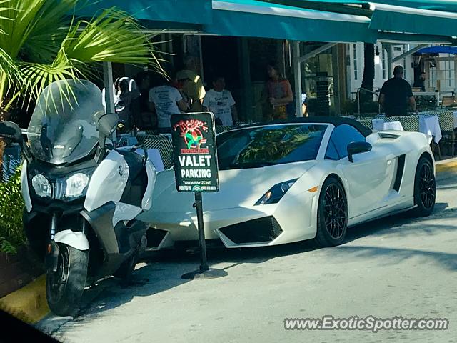 Lamborghini Gallardo spotted in Miami Beach, Florida