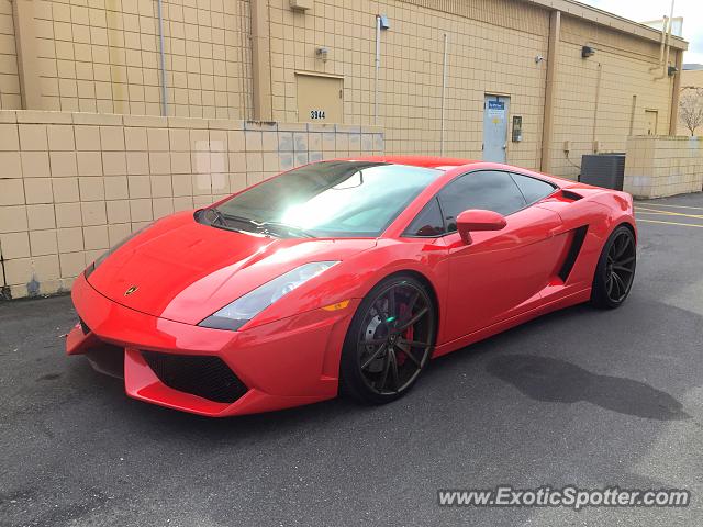 Lamborghini Gallardo spotted in Jacksonville, Florida