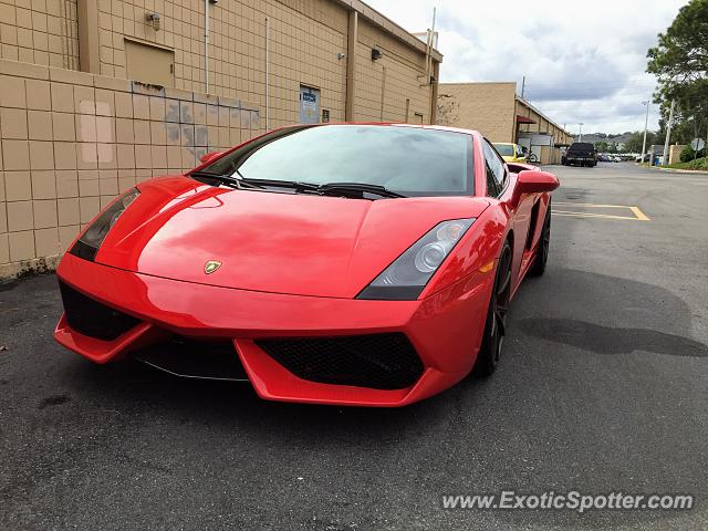 Lamborghini Gallardo spotted in Jacksonville, Florida