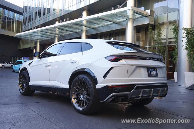 Lamborghini Urus spotted in Las Vegas, Nevada