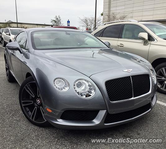 Bentley Continental spotted in Jacksonville, Florida