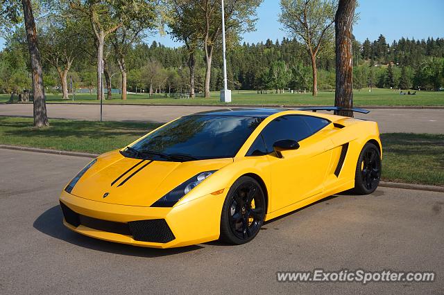 Lamborghini Gallardo spotted in Edmonton, Canada