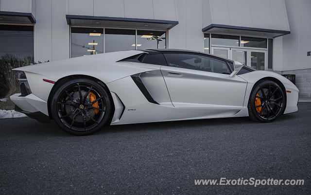 Lamborghini Aventador spotted in Edison, New Jersey