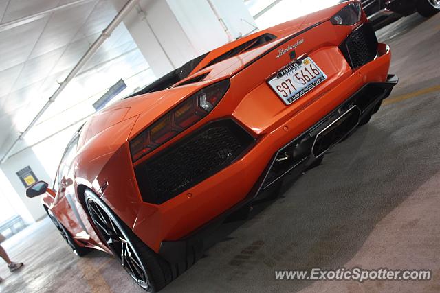 Lamborghini Aventador spotted in Chicago, Illinois