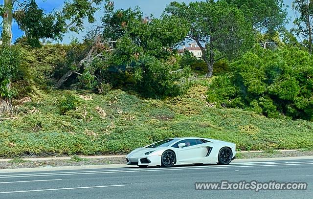 Lamborghini Aventador spotted in Newport Beach, California