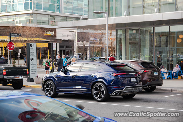 Lamborghini Urus spotted in Merrifield, Virginia