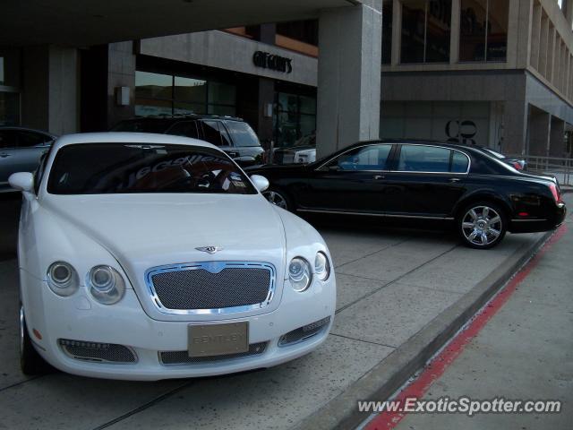 Bentley Continental spotted in Houston, Texas