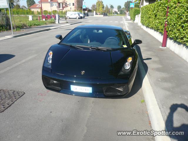 Lamborghini Gallardo spotted in Padova, Italy