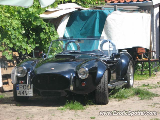 Shelby Cobra spotted in Mikołajki, Poland