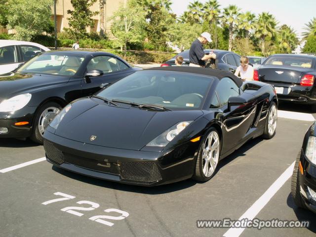 Lamborghini Gallardo spotted in Orlando, Florida