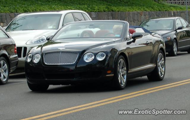 Bentley Continental spotted in Greenwich, Connecticut