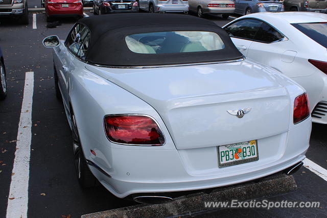 Bentley Continental spotted in Brandon, Florida