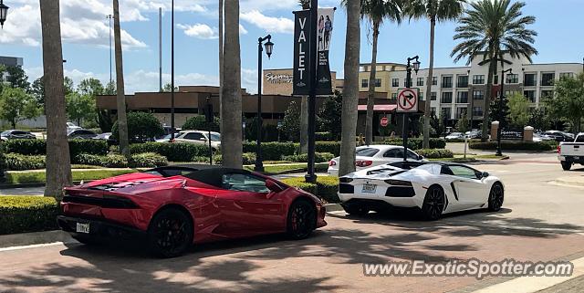 Lamborghini Aventador spotted in Jacksonville, Florida