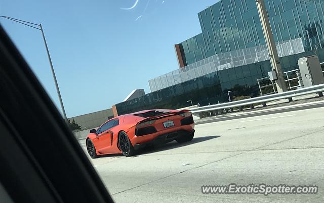 Lamborghini Aventador spotted in Miami, Florida