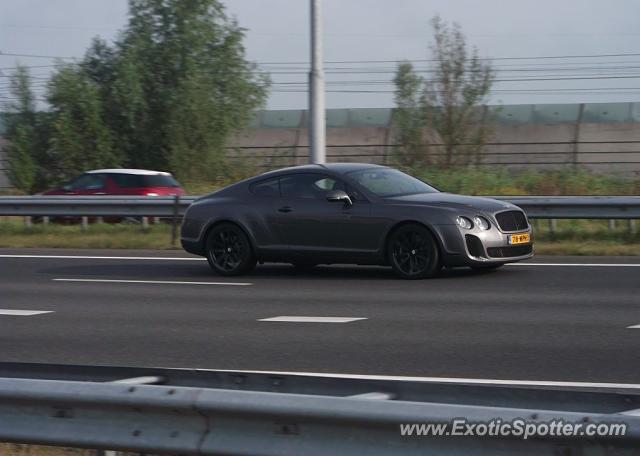 Bentley Continental spotted in Papendrecht, Netherlands