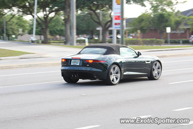 Jaguar F-Type spotted in Riverview, Florida