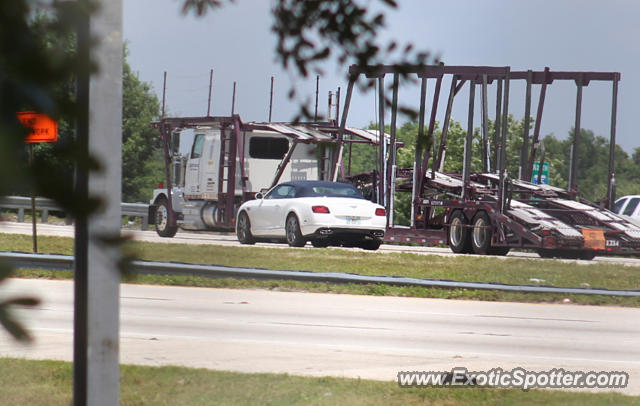 Bentley Continental spotted in Brandon, Florida