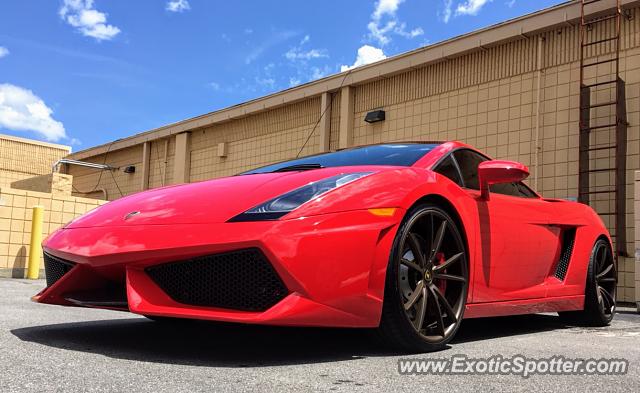 Lamborghini Gallardo spotted in Jacksonville, Florida