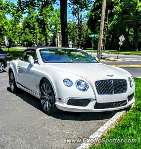 Bentley Continental spotted in Westfield, New Jersey