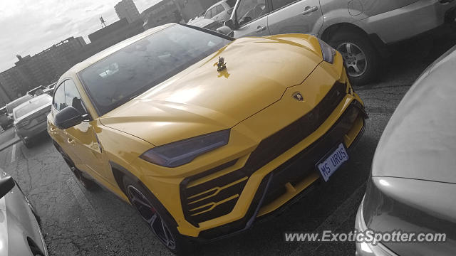 Lamborghini Urus spotted in Toronto, Canada