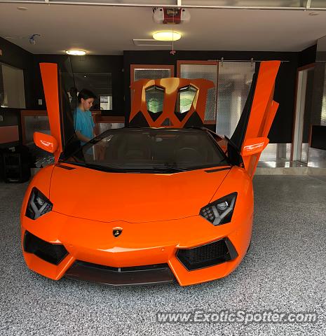 Lamborghini Aventador spotted in Coral Gables, Florida