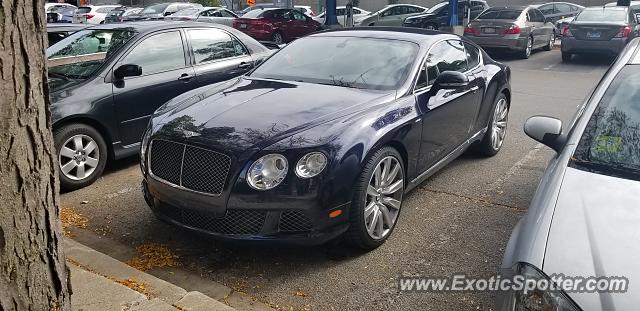 Bentley Continental spotted in Oak Park, Illinois