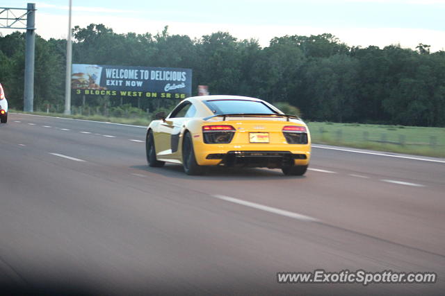 Audi R8 spotted in Wesley Chapel, Florida