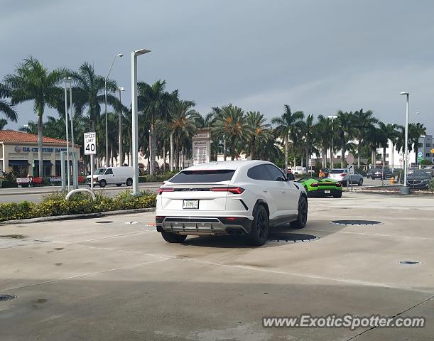 Lamborghini Urus spotted in Miami, Florida