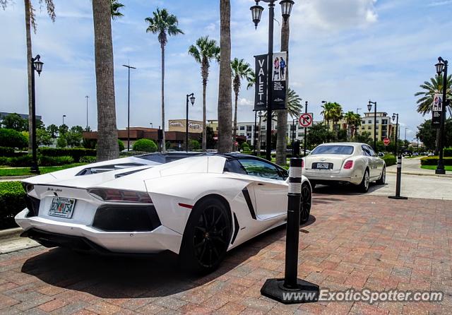 Lamborghini Aventador spotted in Jacksonville, Florida