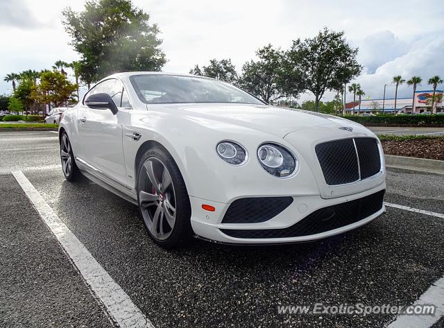 Bentley Continental spotted in Jacksonville, Florida