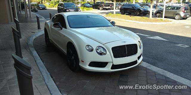 Bentley Continental spotted in Tampa, Florida