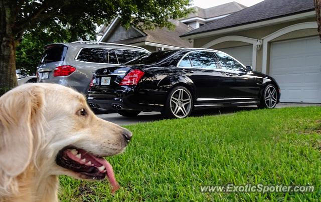 Mercedes S65 AMG spotted in Jacksonville, Florida