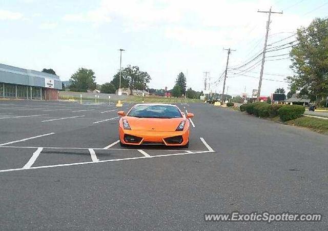 Lamborghini Gallardo spotted in Bellefonte, Pennsylvania