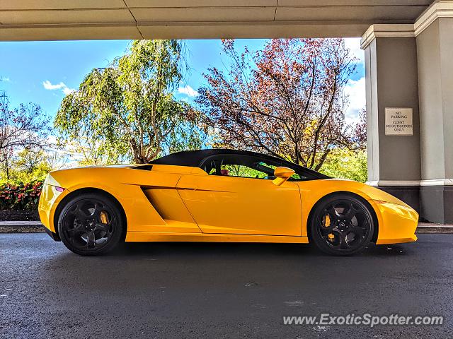 Lamborghini Gallardo spotted in Bridgewater, New Jersey