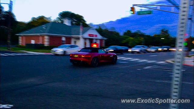 Jaguar F-Type spotted in Scotch Plains, New Jersey