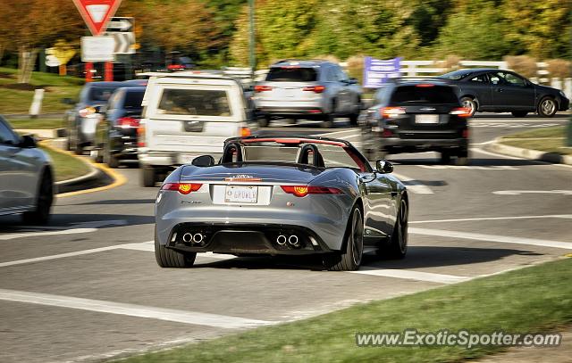 Jaguar F-Type spotted in Columbus, Ohio