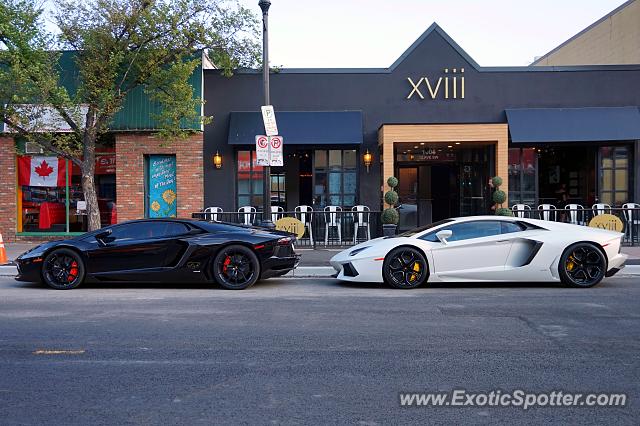 Lamborghini Aventador spotted in Calgary, Canada