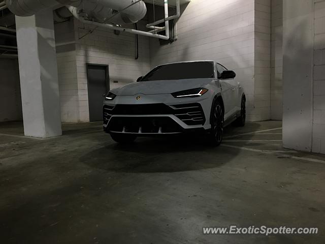 Lamborghini Urus spotted in Atlanta, Georgia