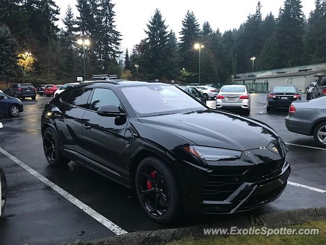 Lamborghini Urus spotted in Shoreline, Washington