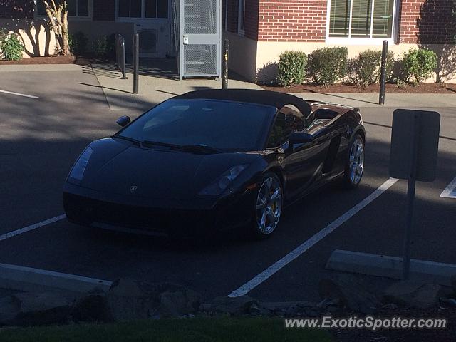 Lamborghini Gallardo spotted in Seattle, Washington