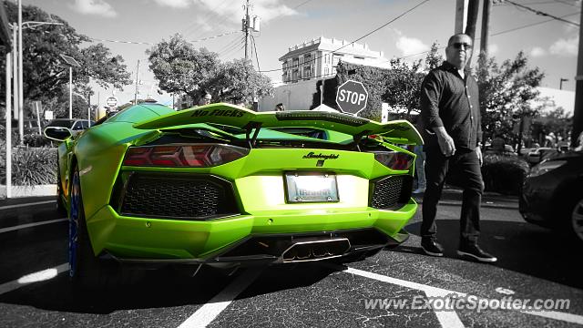 Lamborghini Aventador spotted in Miami, Florida