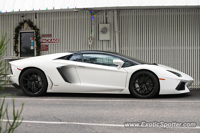 Lamborghini Aventador spotted in Sarasota, Florida