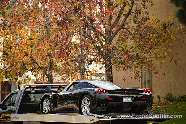 Ferrari Enzo spotted in Los Angeles, California