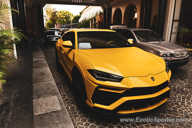 Lamborghini Urus spotted in Beverly Hills, California