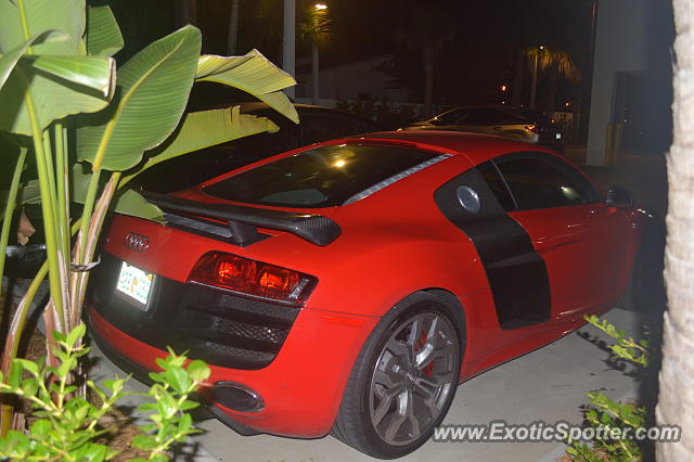 Audi R8 spotted in Sarasota, Florida