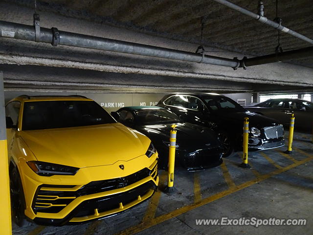 Lamborghini Urus spotted in Amelia Island, Florida