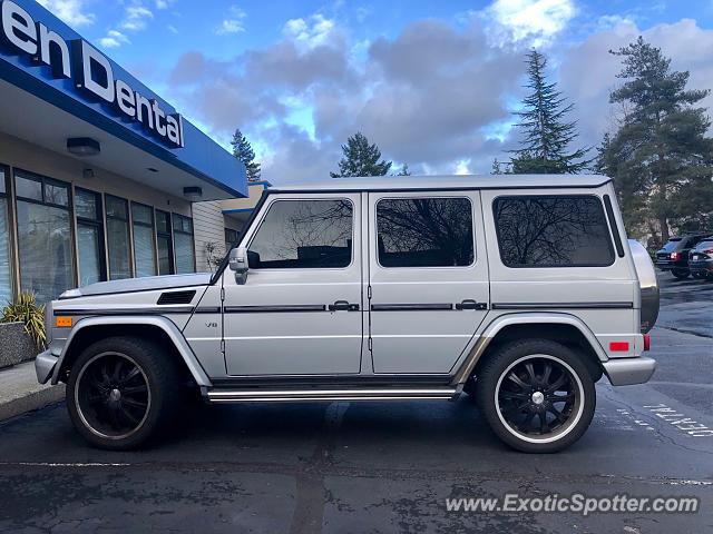 Mercedes 4x4 Squared spotted in Bellevue, Washington