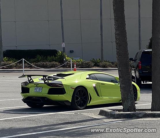 Lamborghini Aventador spotted in Tampa, Florida