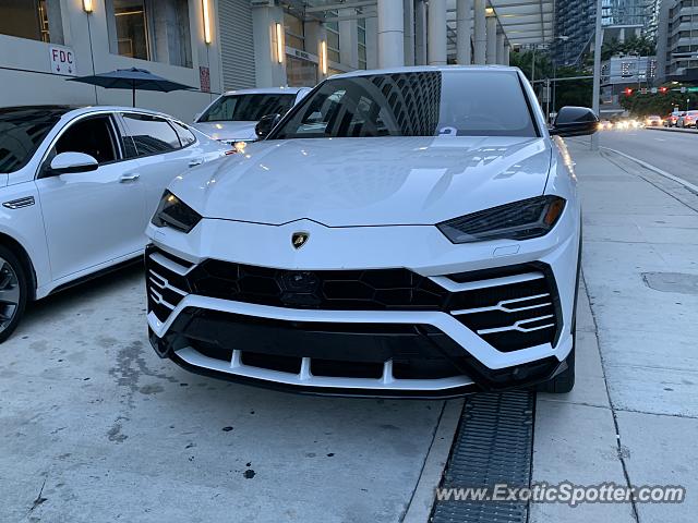 Lamborghini Urus spotted in Miami, Florida